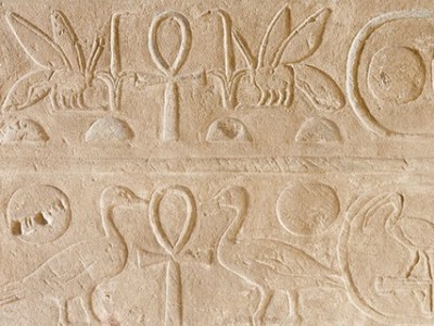 IL PROTOCOLLO REALE